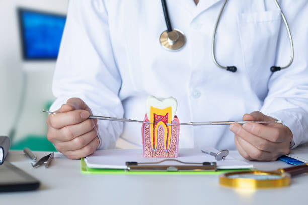 Best Mobile Emergency Dentist in Lake Secession, SC